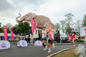 BIB: 
                            <button type="button" onclick="openModal(26528444)" class="btn btn-primary btn-sm float-right btn-popup" data-toggle="modal" data-target=".modal-high-quality">
                        <i class="fas fa-shopping-cart"></i> Add to Cart
                    </button>
                                            <button type="button" onclick="isThisMe(26528444, true)" class="btn btn-success btn-sm float-right btn-popup btn-isme hidden" data-toggle="tooltip" data-placement="bottom" title="นี่คือรูปของคุณใช่ไหม คลิกที่นี่เพื่อเอาเข้าอัลบั้ม">
                        <i class="fas fa-plus"></i> Add to album
                    </button>
                    <button type="button" onclick="isThisMe(26528444, false)" class="btn btn-warning btn-sm float-right btn-popup btn-isnotme hidden">
                        <i class="fas fa-ban"></i> Remove from album
                    </button>